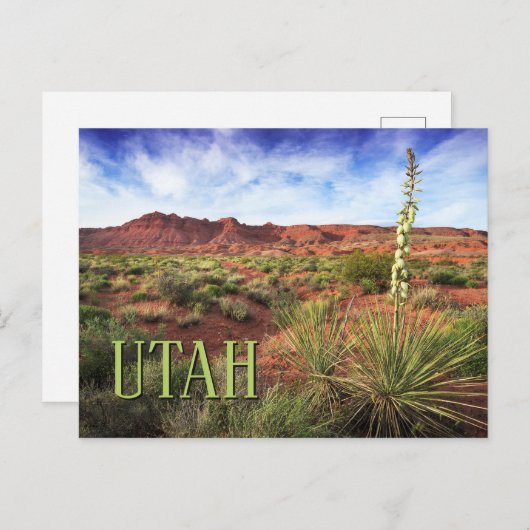 Utah Desert Yucca Briefkaart (Voorkant / Achterkant)