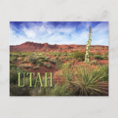 Utah Desert Yucca Briefkaart (Voorkant)