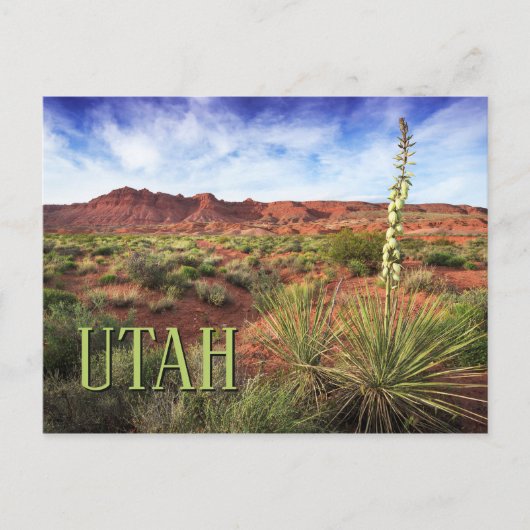 Utah Desert Yucca Briefkaart (Voorkant)