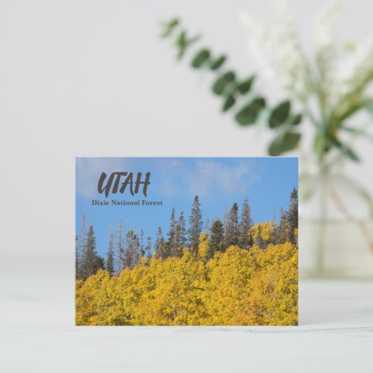 Utah Dixie National Forest Briefkaart (Staand voorkant)