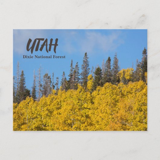 Utah Dixie National Forest Briefkaart (Voorkant)