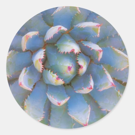 Utah, Dixie National Forest. Close-up van yucca Ronde Sticker (Voorkant)