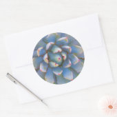Utah, Dixie National Forest. Close-up van yucca Ronde Sticker (Envelop)