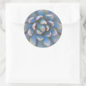 Utah, Dixie National Forest. Close-up van yucca Ronde Sticker (Tas)