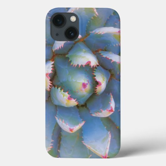 Utah, Dixie National Forest. Sluiting van yucca Case-Mate iPhone Case (Achterkant)