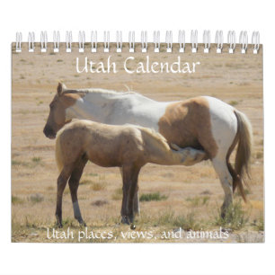 Utah-fotokalender Kalender