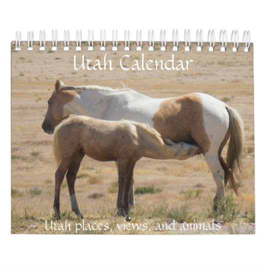 Utah-fotokalender Kalender (Hoes)