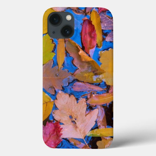 Utah, Glen Canyon Nationaal Herstelgebied 2 Case-Mate iPhone Case (Achterkant)