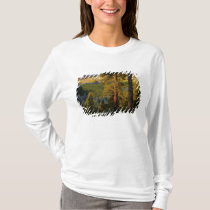 UTAH. Grove ponderosa-dennen & esp, herfst. Zonsop T-shirt