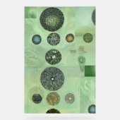 Utah in een microscoop acryl bord (Voorkant)