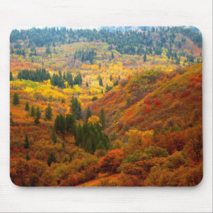 Utah Landschap Muismat