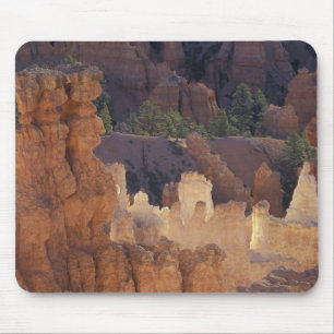 Utah, Nationaal park Bryce Canyon. Hoodoos, Muismat