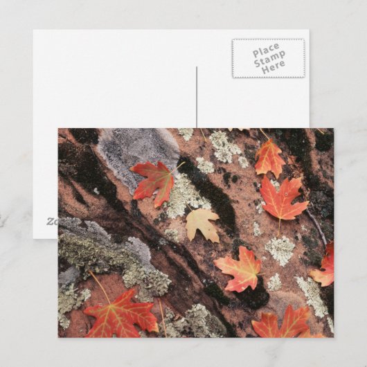 Utah, Nationaal Park Zion, Najaarspatronen Briefkaart (Voorkant / Achterkant)