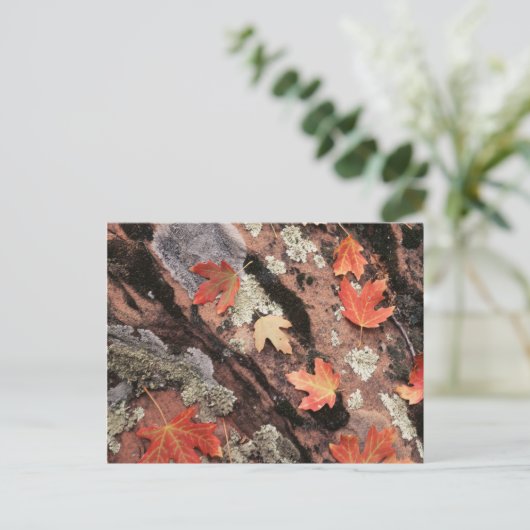 Utah, Nationaal Park Zion, Najaarspatronen Briefkaart (Staand voorkant)