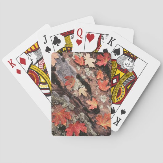 Utah, Nationaal Park Zion, Najaarspatronen Speelkaarten (Achterkant)