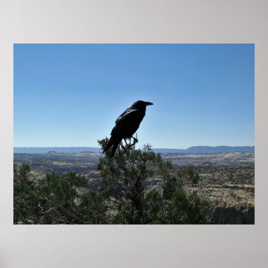Utah Raven Poster (Voorkant)