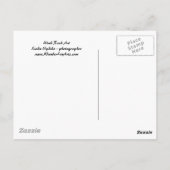 Utah Rock Art Briefkaart (Achterkant)