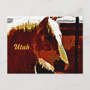 Utah, sorrel paard in profiel Briefkaart