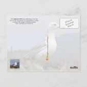 Utah State Bird - California Gull Briefkaart (Achterkant)