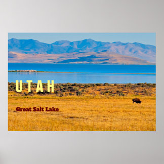 UTAH The Great Salt Lake Staat Poster
