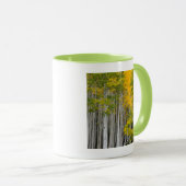 Utah. USA. Espenbomen (Populus Tremuloides) Mok (Voorkant rechts)