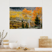 Utah, Verenigde Staten. Aspen-bomen en wilde dikte Poster (Keuken)