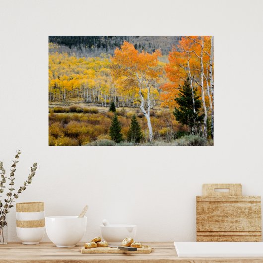 Utah, Verenigde Staten. Aspen-bomen en wilde dikte Poster (Keuken)