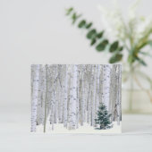 UTAH. Verenigde Staten. Aspen (Populus tremuloides Briefkaart (Staand voorkant)