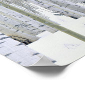 UTAH. Verenigde Staten. Aspen (Populus tremuloides Poster (Hoek)