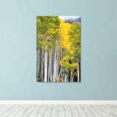 Utah. Verenigde Staten. Aspen Trees (Populus Tremu Canvas Afdruk (Insitu (Houten vloer))