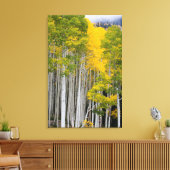 Utah. Verenigde Staten. Aspen Trees (Populus Tremu Canvas Afdruk (Insitu (Woonkamer))