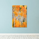 Utah, Verenigde Staten. Aspen Trees (Populus Tremu Canvas Afdruk (Insitu (Houten vloer))