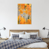 Utah, Verenigde Staten. Aspen Trees (Populus Tremu Canvas Afdruk (Insitu (Slaapkamer))