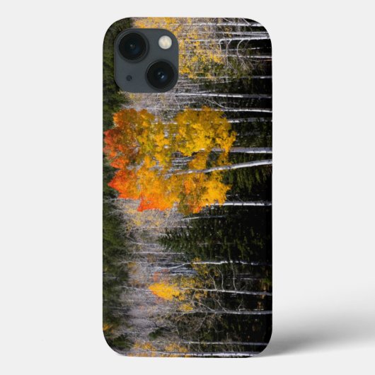 Utah, Verenigde Staten. Aspen Trees (Populus Tremu Case-Mate iPhone Case (Achterkant)