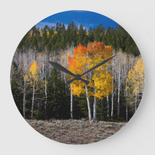Utah, Verenigde Staten. Aspen Trees (Populus Tremu Grote Klok