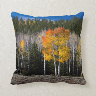 Utah, Verenigde Staten. Aspen Trees (Populus Tremu Kussen