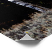 Utah, Verenigde Staten. Aspen Trees (Populus Tremu Poster (Hoek)