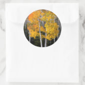 Utah, Verenigde Staten. Aspen Trees (Populus Tremu Ronde Sticker (Tas)