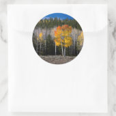 Utah, Verenigde Staten. Aspen Trees (Populus Tremu Ronde Sticker (Tas)