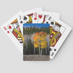 Utah, Verenigde Staten. Aspen Trees (Populus Tremu Speelkaarten
