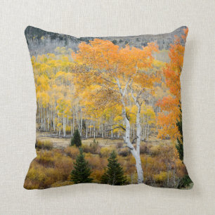 Utah, Verenigde Staten. Aspenbomen en wilde diktes Kussen