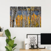 Utah, Verenigde Staten. Espenbomen (Populus Tremul Poster (Thuiskantoor)