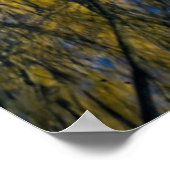 Utah. Verenigde Staten. Peachleaf Willow Trees Poster (Hoek)