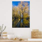 Utah. Verenigde Staten. Peachleaf Willow Trees Poster (Keuken)