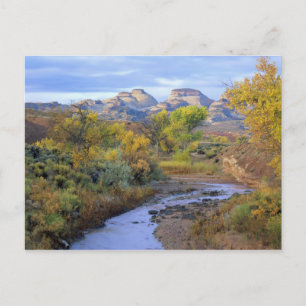 UTAH. Verenigde Staten. Pleasant Creek in de herfs Briefkaart