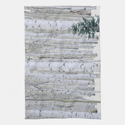 UTAH. VS. Aspen (Populus tremuloides) & Douglas Theedoek (Verticaal)