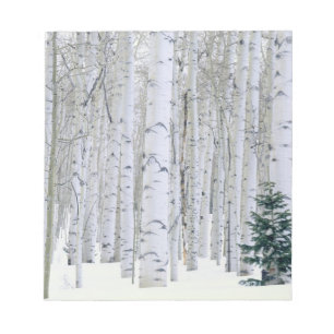 UTAH. VS. Espen (Populus tremuloides) & Douglasspa Notitieblok