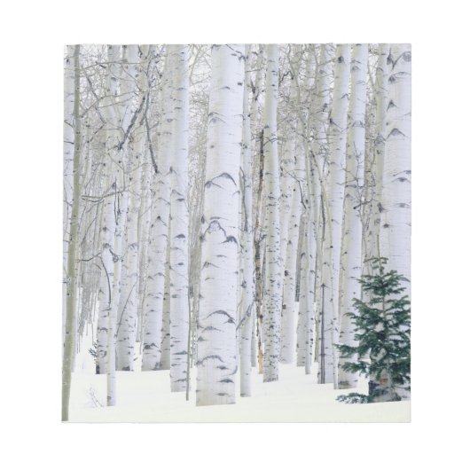 UTAH. VS. Espen (Populus tremuloides) & Douglasspa Notitieblok (Voorkant)