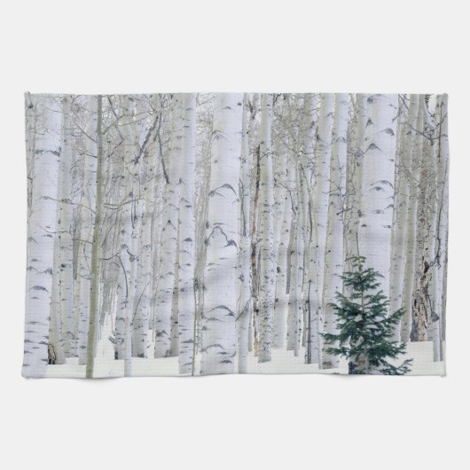 UTAH. VS. Espen (Populus tremuloides) & Douglasspa Theedoek (Horizontaal)