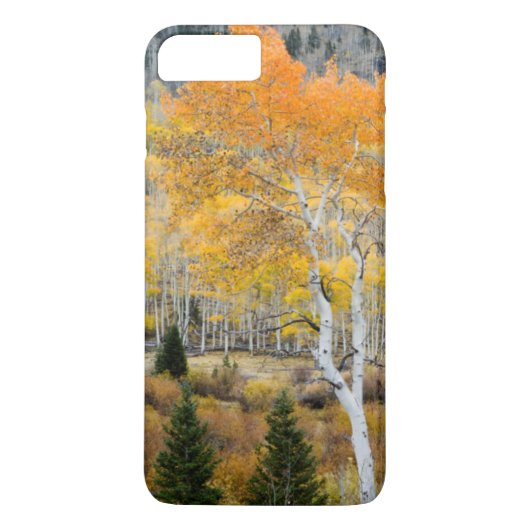 Utah, VS. Espenbomen en wilgenstruwelen Case-Mate iPhone Case (Achterkant)